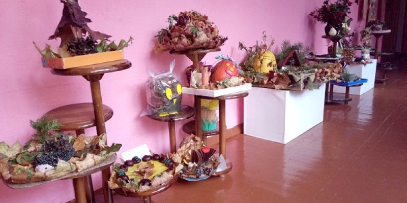 Выставка поделок из природного материала «Щедрая осень»