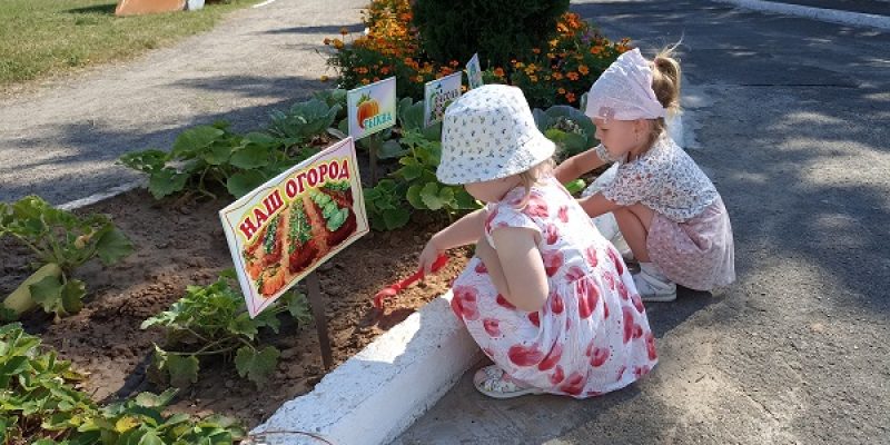 Организация работы с детьми на огороде летом