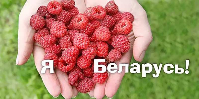 Я — Беларус, ты Беларусачка