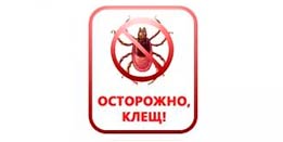 Осторожно, клещи!